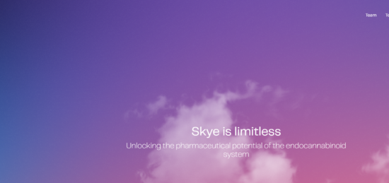 Skye Bioscience Demonstrates Over 30% Weight Loss with Nimacimab and Tirzepatide Combination in Preclinical Model